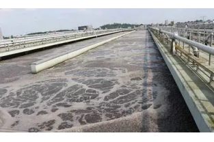 【重要】水中溶解氧越高，處理效果越好么？