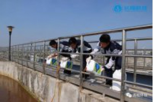 碳氮比失調(diào)，總氮超標(biāo)怎么辦